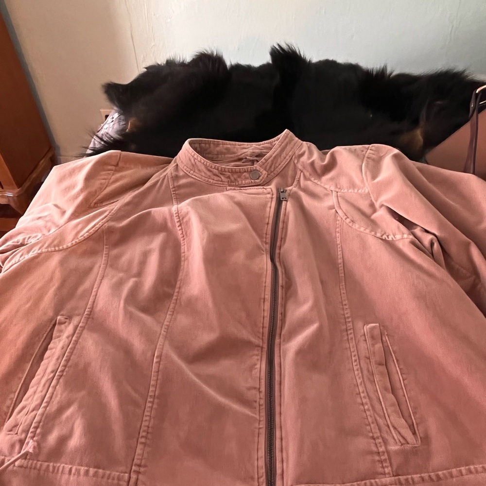 Pink velvet jacket